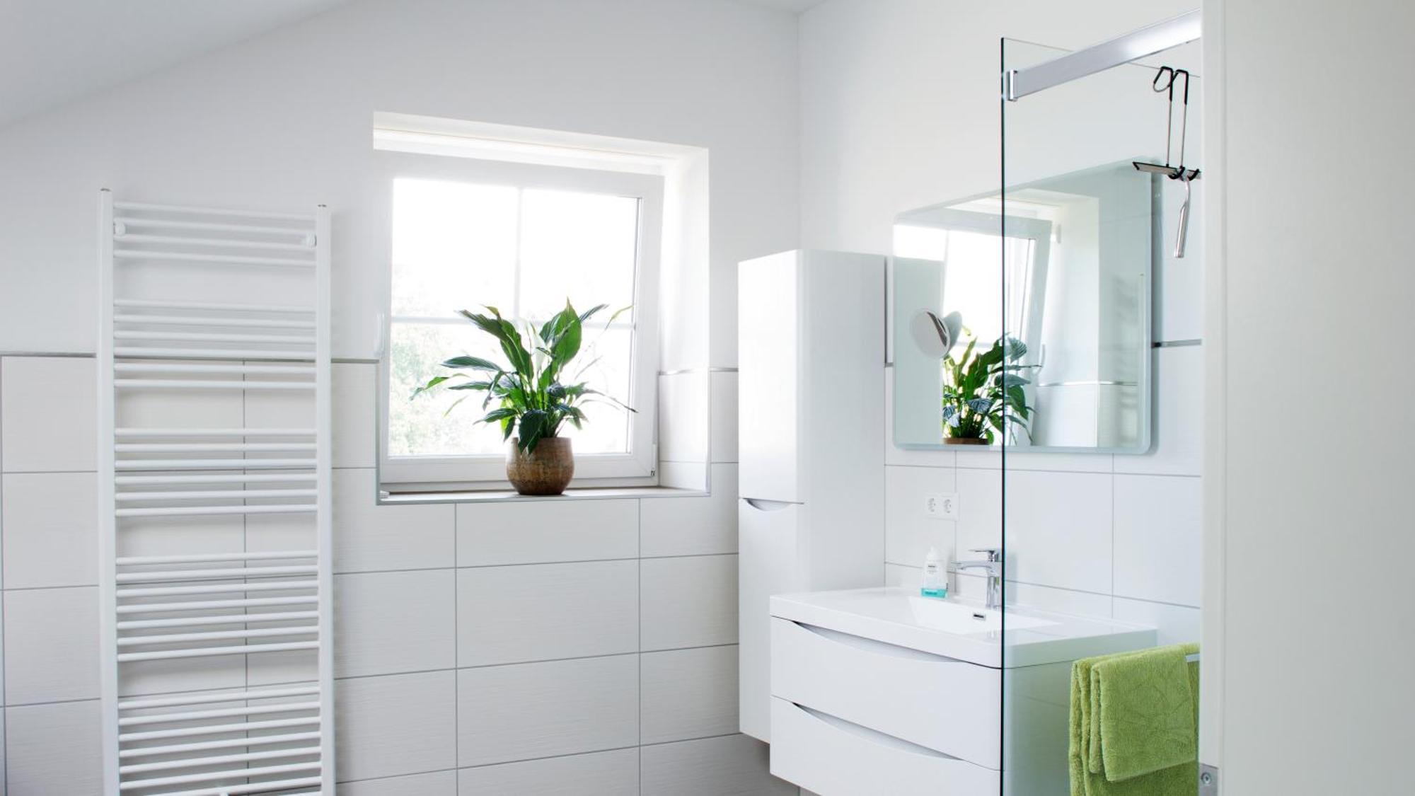 Ringelnatz & Lichtwer- Ferienwohnung Wurzen Cameră foto